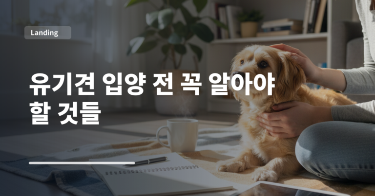 유기견 입양 전 꼭 알아야 할 것들